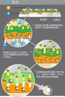 有机发光材料行业情形：探索OLED技术的未来