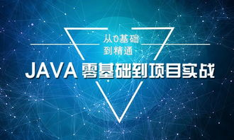 什么是Java方法中的参数类型：了解Java方法中参数的概念和分类