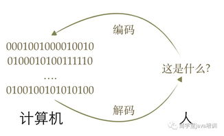 Java参数中的大括号怎么打：了解如何在Java中正确使用大括号