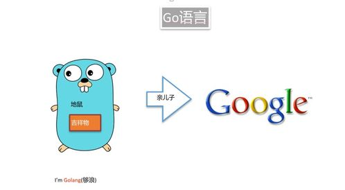 golang能写什么：探索Go语言的广泛应用