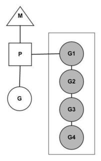 golang异步：并发编程的高效实现方式