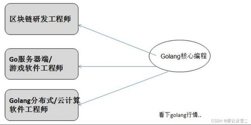 golang什么领域好：探索Go语言的广泛应用