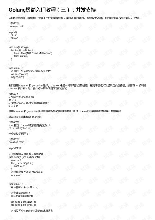 golang初级是什么：入门者的指南