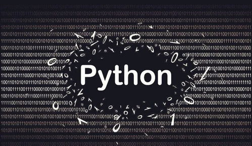 Python论坛有哪些：探索编程社区的热点