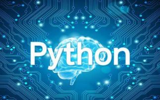 Python有哪些版本：深入了解Python的发展历程