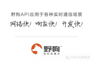 哪些网站用Python开发：探索Python在网站开发中的应用