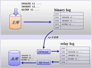 JDBC连接MySQL数据库：实现Java与数据库的无缝对接