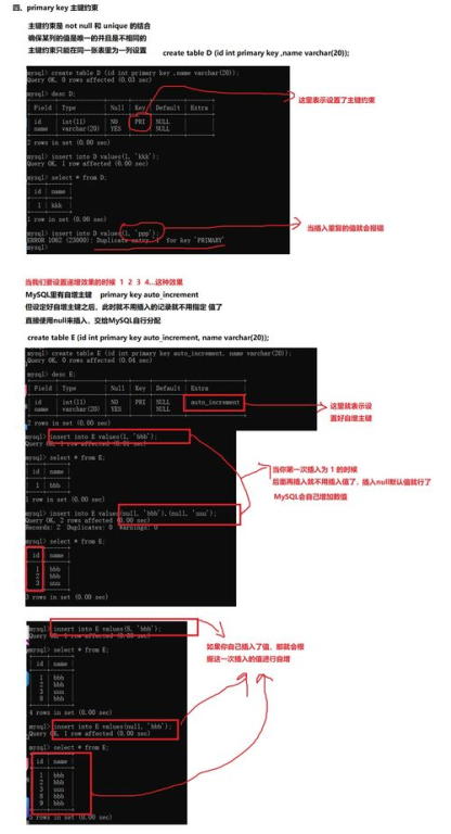 MySQL数据库增删改查：操作基础与高级技巧