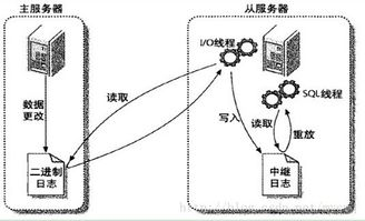 MySQL 数据库重启：确保数据库服务的稳定性和连续性