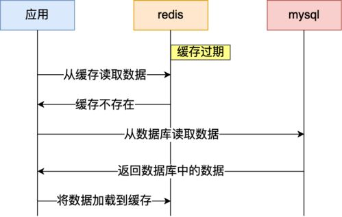 Redis是数据库还是缓存: 理解Redis的多重角色