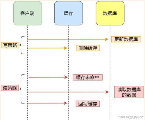 Redis 更新数据库: 利用 Redis 进行高效的数据更新管理