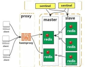 Redis 数据库名称: 探索 Redis 数据库的命名规则和最佳实践