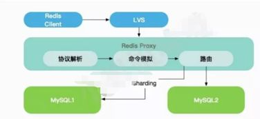 java操作redis数据库: 详细介绍如何在Java中使用Redis数据库