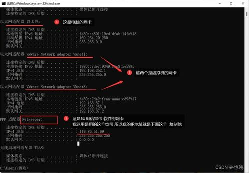 数据库Redis 下载: 如何获取并安装Redis数据库