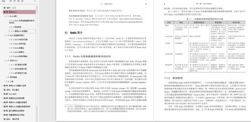 Redis数据库解析: 深入了解Redis的特性与应用