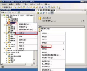 SQL Server的数据库文件：管理、备份与恢复