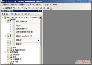 sqlserver 数据库开发：构建高效数据解决方案的关键步骤