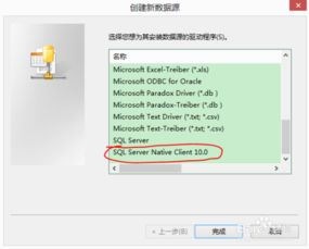 ASP连接SQL Server数据库：实现数据交互的关键技术