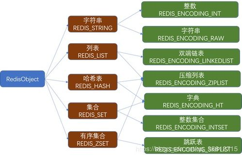 Redis数据库菜鸟: 了解Redis数据库的基础知识