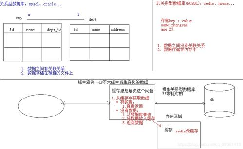 Redis 读数据库: 探索高效的数据存储与访问方式