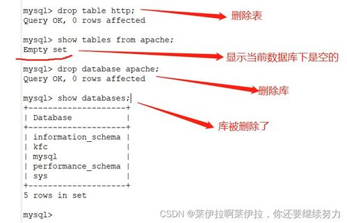 Redis 清理数据库: 有效管理数据以提升性能