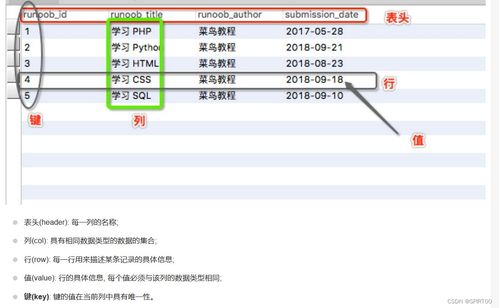 关系型数据库MySQL：一种广泛使用的开源数据库管理系统