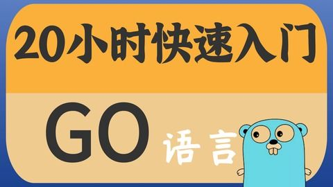 大公司用golang做什么: 探索Go语言在企业级应用中的广泛使用