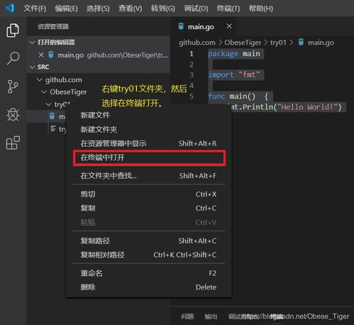 Golang是用什么软件开发: 了解Go语言的开发工具和环境