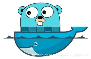 golang2.0什么时候发布：探索Go语言未来的更新与发布动态