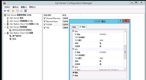 Golang搭配什么数据库: 探索最佳数据库选项以增强Golang应用的性能