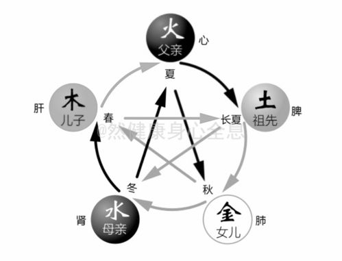 <br>一、五行与五脏六腑的对应关系