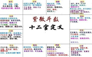 <br>一、紫微斗数的基本概述