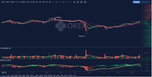 Cómo Funciona el Mercado de BTC USD