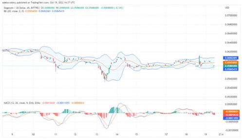 Understanding DOGE and Its Value