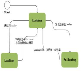 Pax Gold的定义与特点, 以及其在市场中的作用