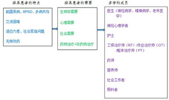 MDT的定义与应用，理解多学科团队的重要性