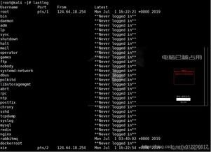 Steps for a Successful USDT Login