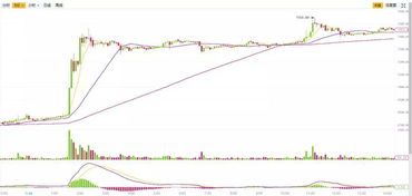 Effective Trading Strategies for Reef USDT