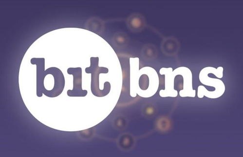 Factors Influencing the USDT Price on Bitbns