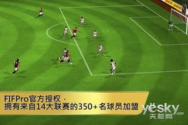 淘汰赛的激烈竞争