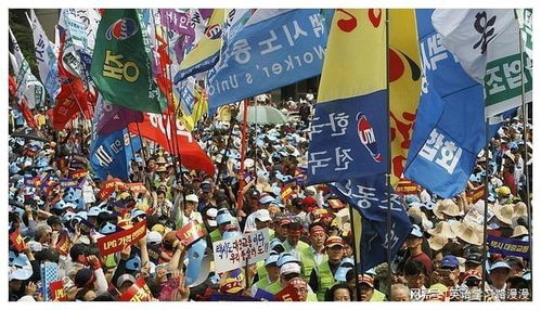 球队实力与战术分析