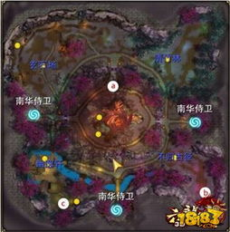 球队实力的较量