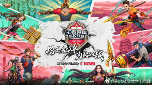 各队的实力对比