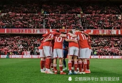 诺丁汉森林的赛季回顾