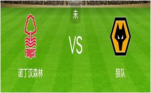球队状态与表现
