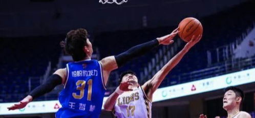 本土球星崭露头角