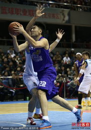全明星阵容揭晓