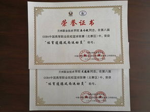 CBA裁判的专业性与公正性