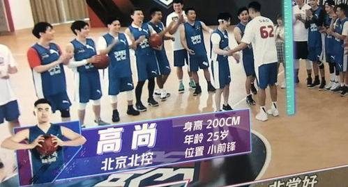 新星闪耀，潜力无限