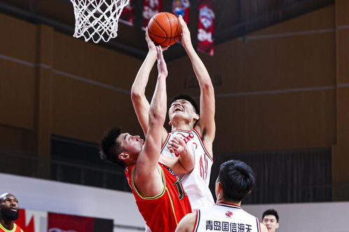 一、CBA防守格局概览